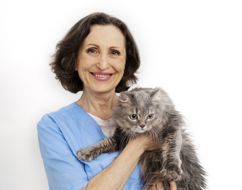 here you find a trusted veterinarian near you, holding a cat with a medical problem.
