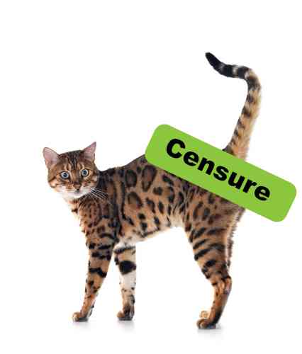 Cat with an anus tumor with a sign over his behind that says "censure".