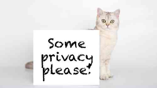 cat has a filthy anus, that's why he holds a sign that says "some privacy please".