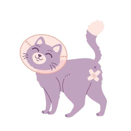 cartoon of a cat with a band-aid over her vagina to prevent discharge to come out. 