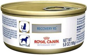 Recovery Royal Canin pet food