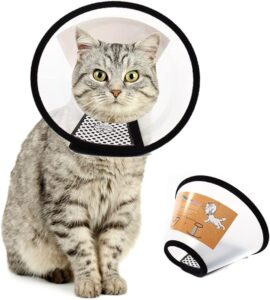 protective collar cat