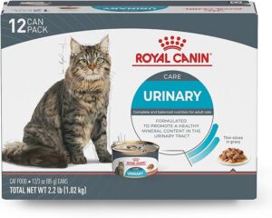 urinary wet cat food