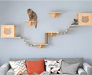 wall climbing furniture cat