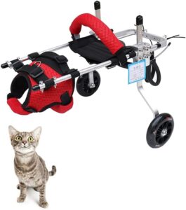 Wheelchair for a cat
