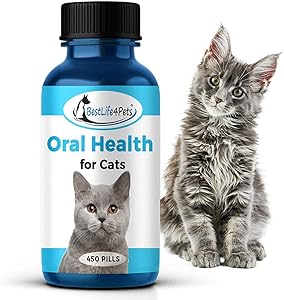 BestLife4Pets oral health cat