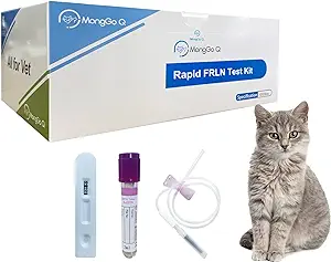 Cat pregnancy test