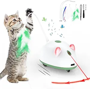 cat automatic toy