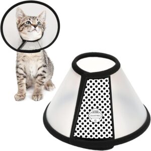 protective collar for a cat makes sure the cat doesn't lick his wound