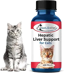 BestLife4Pets Hepatic Liver support