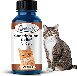 constipation relief cat